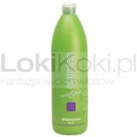 Nutrisence Silver Shampoo szampon do włosów blond 1000 ml Subrina