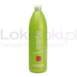 Nutrisence Colour Conditioner For Coloured Hair odżywka do włosów farbowanych 1000 ml Subrina