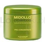 Midollo Di Bamboo Pro-Concentrate koncentrat proteinowy 500 g Alfaparf