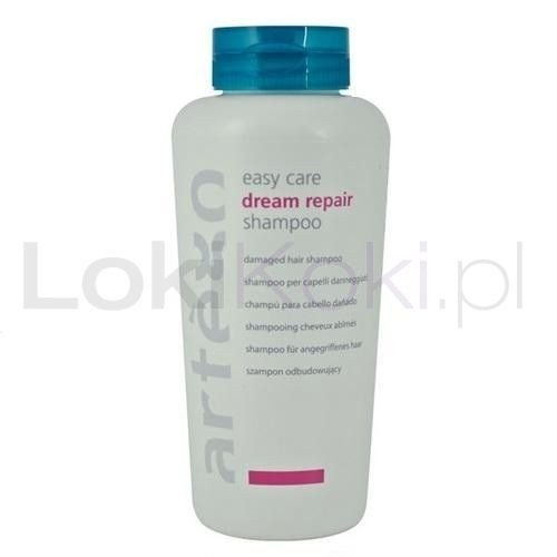 Easy Care Dream Repair szampon odbudowujący 300 ml Artego