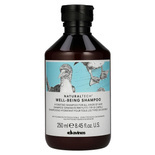 Szampon Davines Naturaltech Well-Being nawilżający do wszystkich rodzajów włosów 250 ml