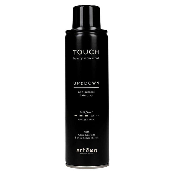 Touch Up and Down lakier w sprayu 250 ml Artego
