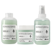 Zestaw Davines Essential Haircare MELU wzmacniający szampon 250ml + odżywka 250ml + mgiełka 250ml