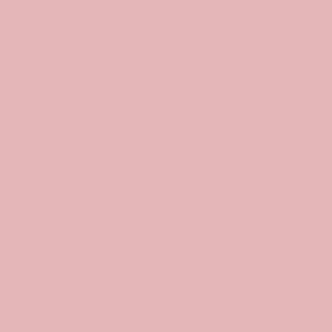 Róż do twarzy Zanature Inflorescence Mineral Rouge Powder Rose 3 g