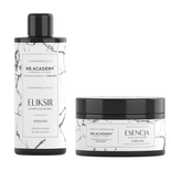 Zestaw WS Academy odbudowujący z plexem do włosów po koloryzacji szampon 250 ml + maska 250 ml