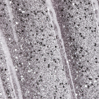 Lakier hybrydowy G38 z mocną pigmentacją srebrny z brokatem 10,5ml
