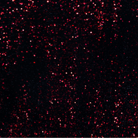 Lakier hybrydowy LS6 czerń z ognistą, czerwoną drobinką 10,5 ml